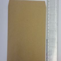 Brown Paper Envelope 120 x 200mm (Item ID:brw120)